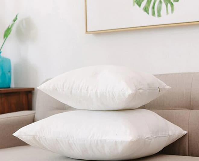 Pillows Inserts
