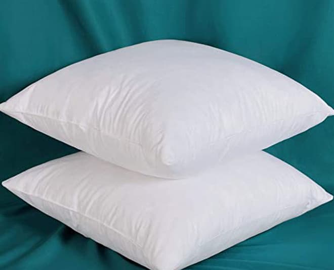Pillows Inserts